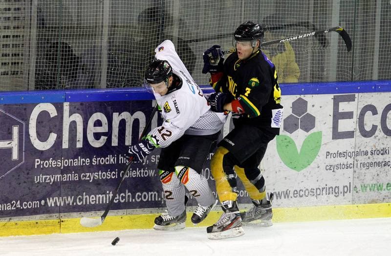 Ice Hockey. Polska Hokej Liga. Naprzod Janow - HC GKS Katowice. 06.01.2015