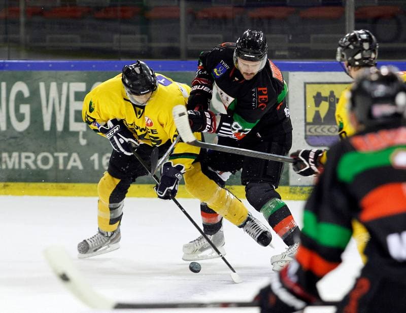 Ice Hockey. Polska Hokej Liga. HC GKS Katowice - GKS Tychy. 14.11.2014