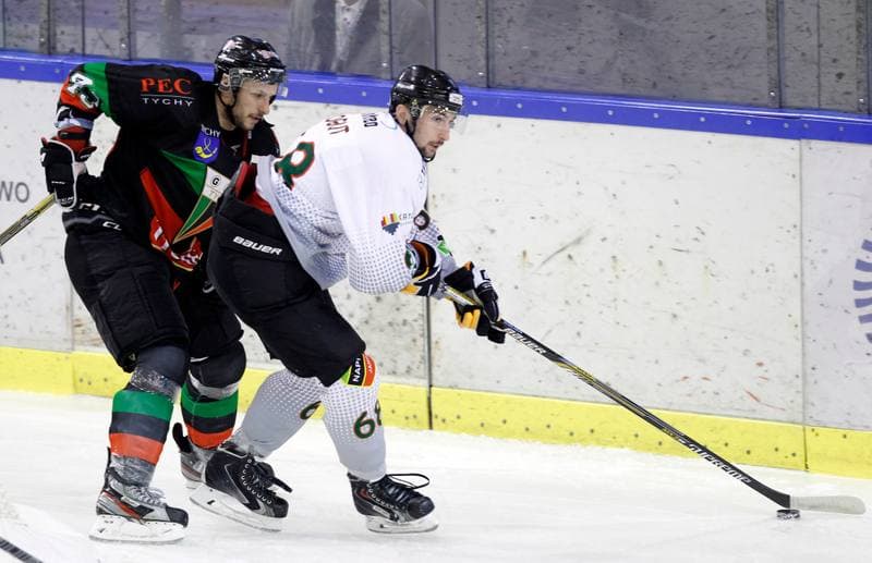 Ice Hockey. Polska Hokej Liga. Naprzod Janow - GKS Tychy. 19.10.2014