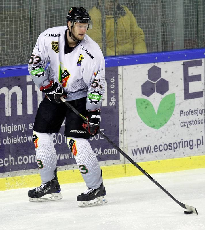 Ice Hockey. Polska Hokej Liga. Naprzod Janow - HC GKS Katowice. 06.01.2015