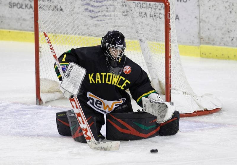 Ice Hockey. Polska Hokej Liga. Naprzod Janow - HC GKS Katowice. 06.01.2015