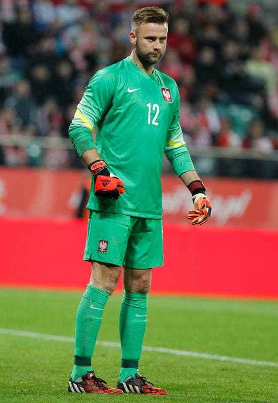 Football. International Friendly. Poland - Switzerland. 18.11.2014