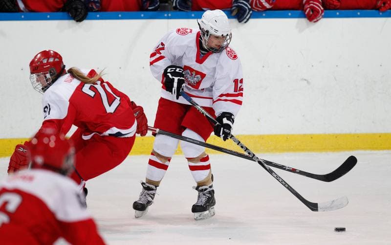 Ice Hockey. U18 Women's World Championship Division I. Poland - Denmark. 25.01.2015