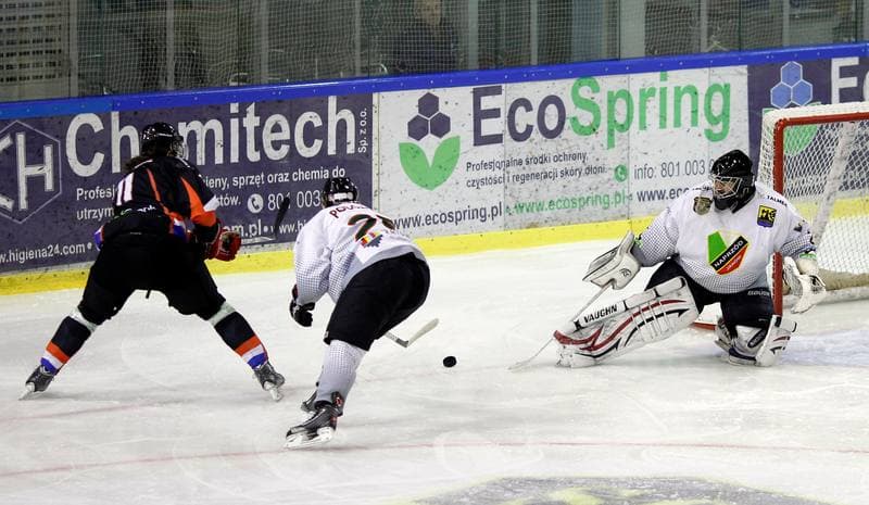Ice Hockey. Polska Hokej Liga. Naprzod Janow - Ciarko KH Sanok. 18.01.2015