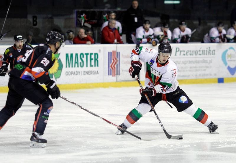 Ice Hockey. Polska Hokej Liga. GKS Tychy - Ciarko KH Sanok. 23.01.2015