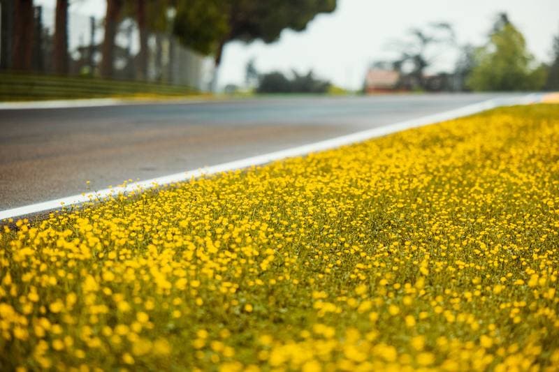 Motorsport. FIA WEC. Prologue. 13.04.2026