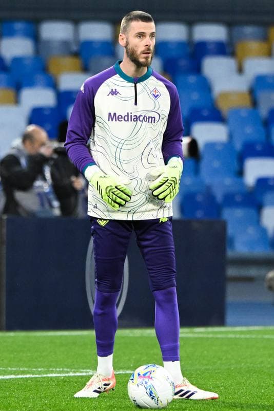 Football. Serie A. SSC Napoli - ACF Fiorentina. 31.01.2026