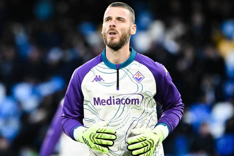 Football. Serie A. SSC Napoli - ACF Fiorentina. 31.01.2026