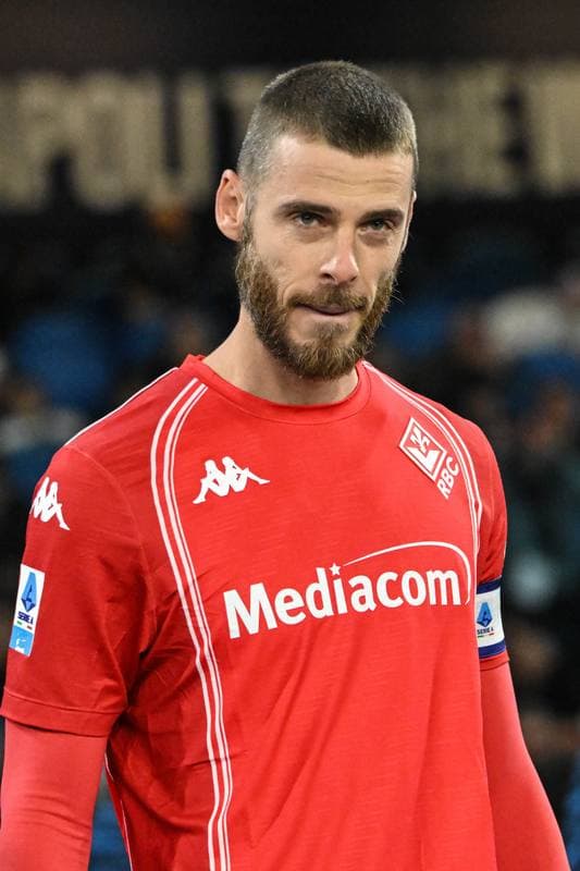 Football. Serie A. SSC Napoli - ACF Fiorentina. 31.01.2026