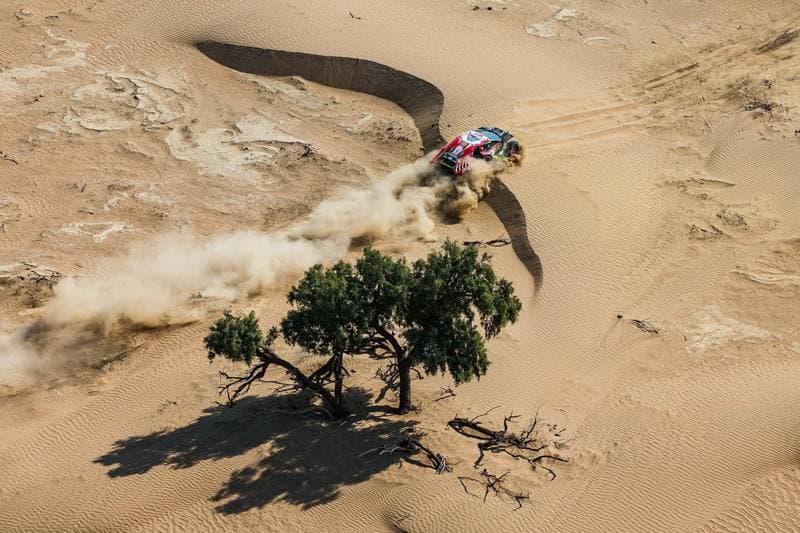 Motorsport. Dakar Rally. Stage 10. 14.01.2026