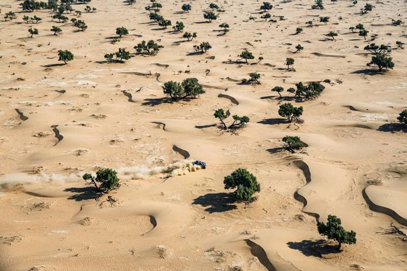 Motorsport. Dakar Rally. Stage 10. 14.01.2026