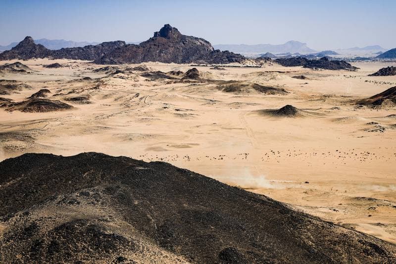 Motorsport. Dakar Rally. Stage 10. 14.01.2026