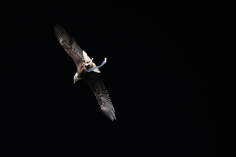 Football. Serie A. SS Lazio - ACF Fiorentina. 07.01.2026
