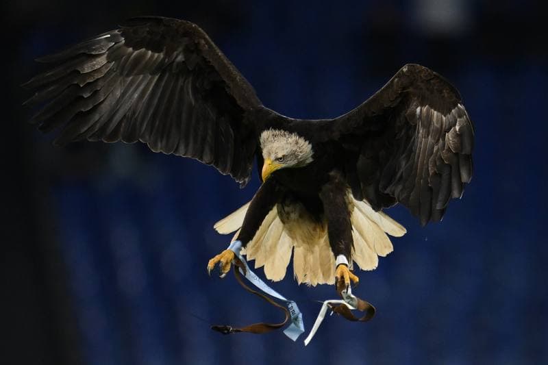Football. Serie A. SS Lazio - ACF Fiorentina. 07.01.2026