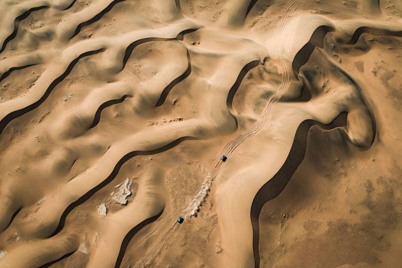 Motorsport. Dakar Rally. Stage 10. 14.01.2026