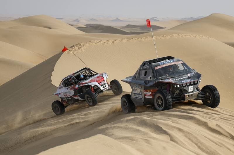 Motorsport. Dakar Rally. Stage 10. 14.01.2026