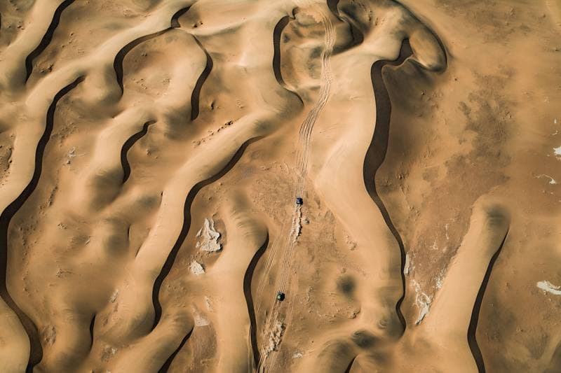 Motorsport. Dakar Rally. Stage 10. 14.01.2026