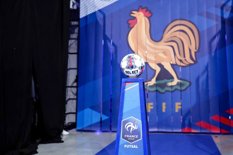 Football. International Friendly. France - Poland. 11.04.2026