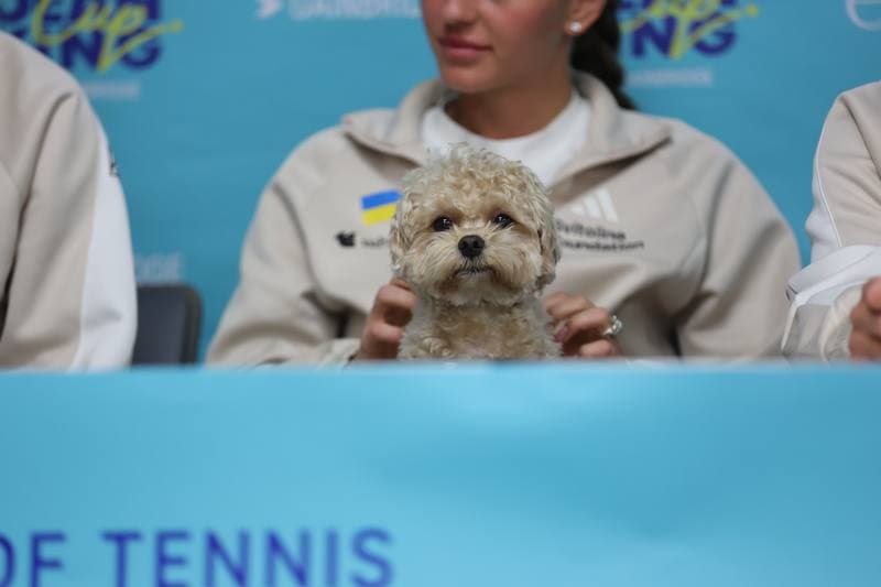 Tennis. Billie Jean King Cup. Poland - Ukraine. 11.04.2026