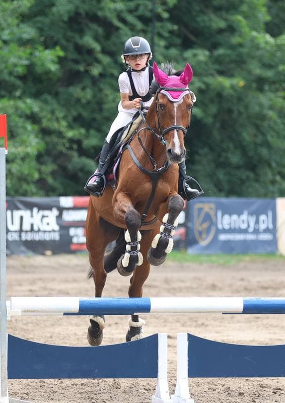 Equestrian. Polish Amateur Equestrian Championships. Day 1. 08.08.2025