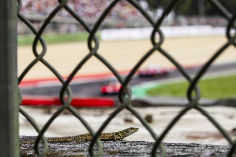 Motorsport. WEC. 6 Hours of Imola. 17.04.2026