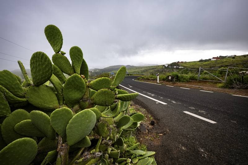 Motorsport. WRC. Rally Islas Canarias. 23.04.2026
