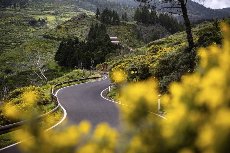 Motorsport. WRC. Rally Islas Canarias. 23.04.2026