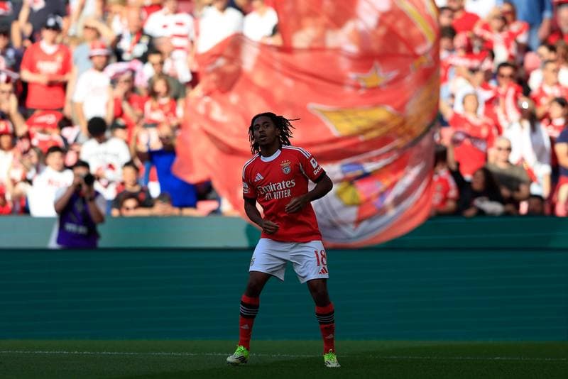 Football. Liga Portugal Betclic. SL Benfica - Moreirense FC. 25.04.2026