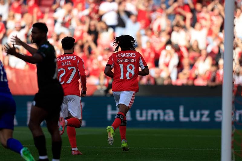 Football. Liga Portugal Betclic. SL Benfica - Moreirense FC. 25.04.2026