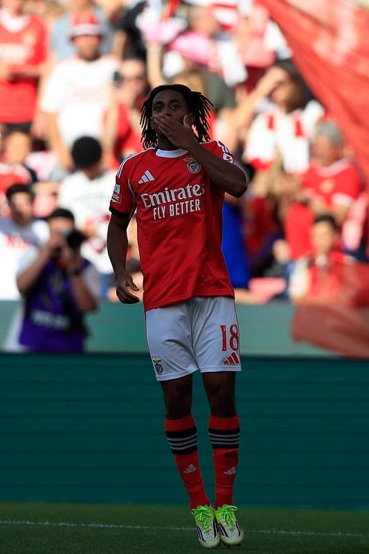 Football. Liga Portugal Betclic. SL Benfica - Moreirense FC. 25.04.2026