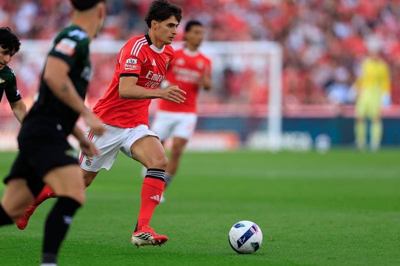 Football. Liga Portugal Betclic. SL Benfica - Moreirense FC. 25.04.2026