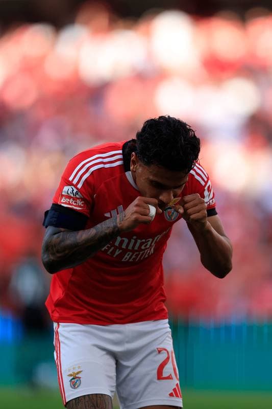 Football. Liga Portugal Betclic. SL Benfica - Moreirense FC. 25.04.2026