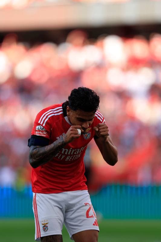Football. Liga Portugal Betclic. SL Benfica - Moreirense FC. 25.04.2026
