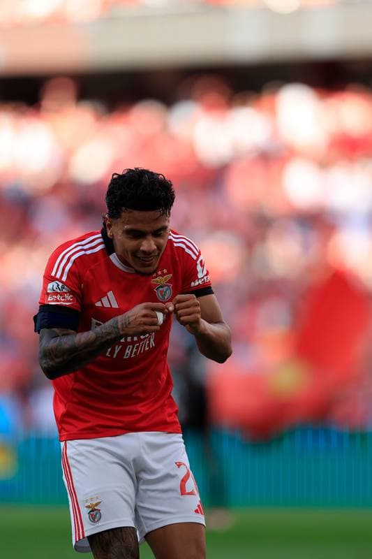Football. Liga Portugal Betclic. SL Benfica - Moreirense FC. 25.04.2026