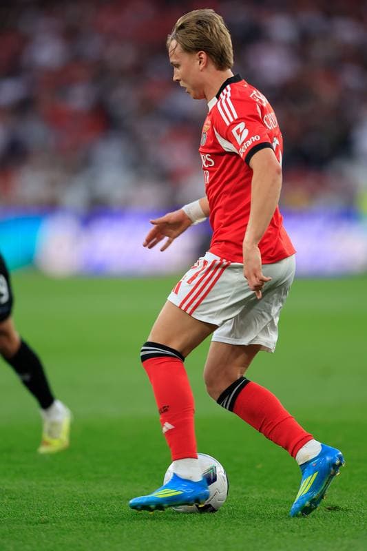 Football. Liga Portugal Betclic. SL Benfica - Moreirense FC. 25.04.2026