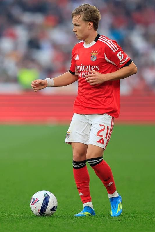 Football. Liga Portugal Betclic. SL Benfica - Moreirense FC. 25.04.2026