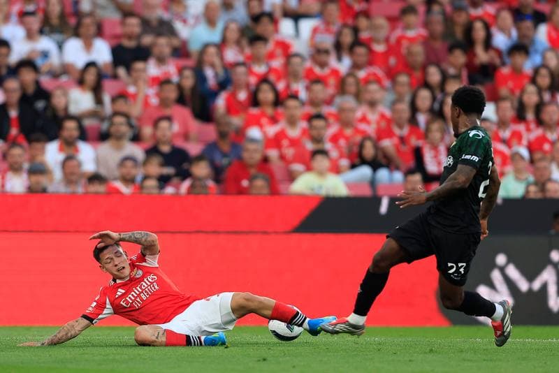 Football. Liga Portugal Betclic. SL Benfica - Moreirense FC. 25.04.2026