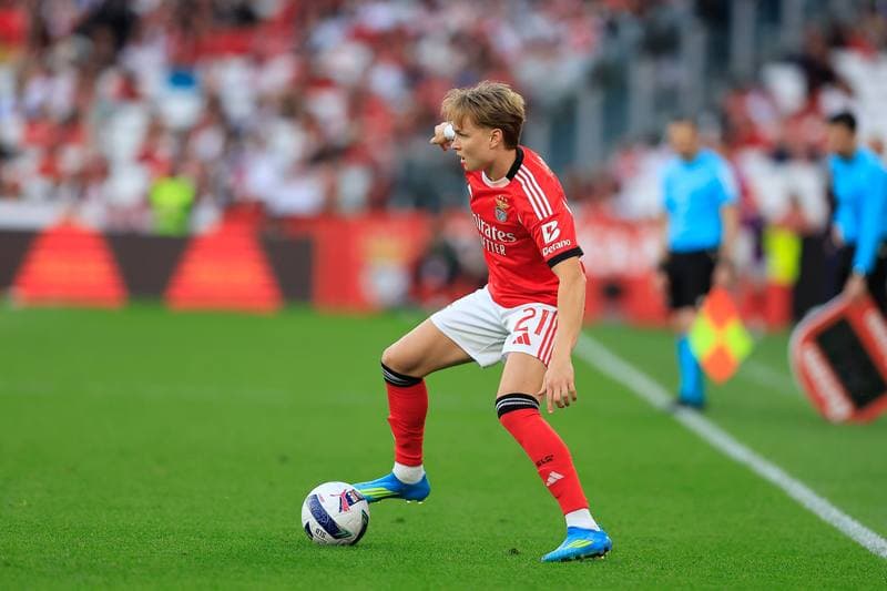 Football. Liga Portugal Betclic. SL Benfica - Moreirense FC. 25.04.2026