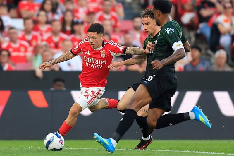Football. Liga Portugal Betclic. SL Benfica - Moreirense FC. 25.04.2026