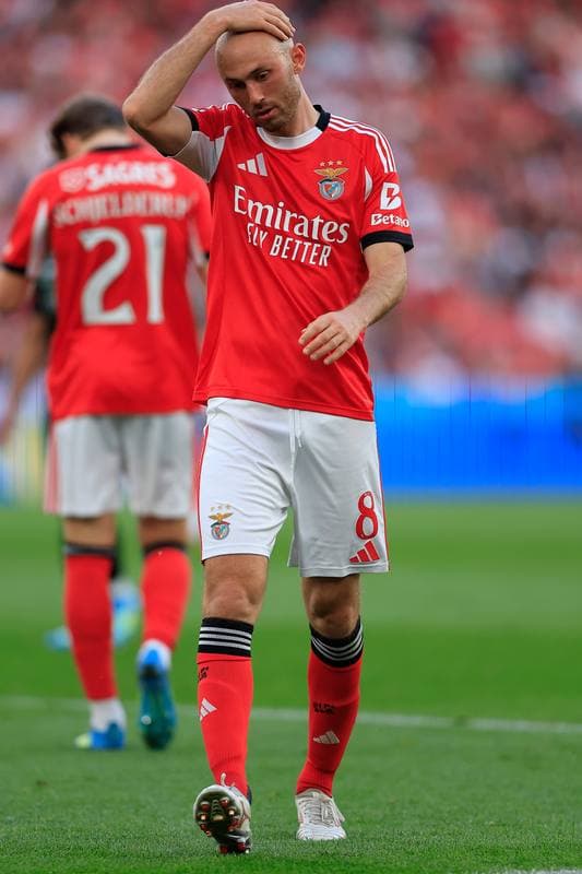 Football. Liga Portugal Betclic. SL Benfica - Moreirense FC. 25.04.2026