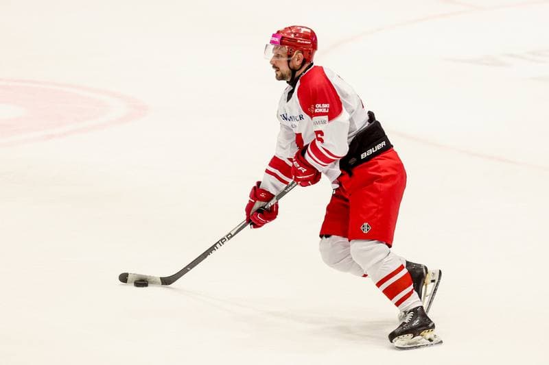 Ice Hockey. International Friendly. Poland - Slovenia. 24.04.2026