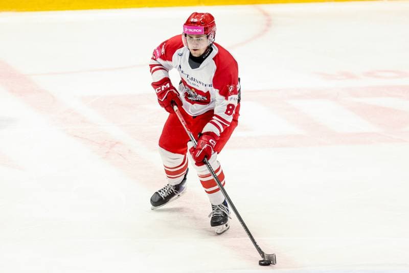 Ice Hockey. International Friendly. Poland - Slovenia. 24.04.2026
