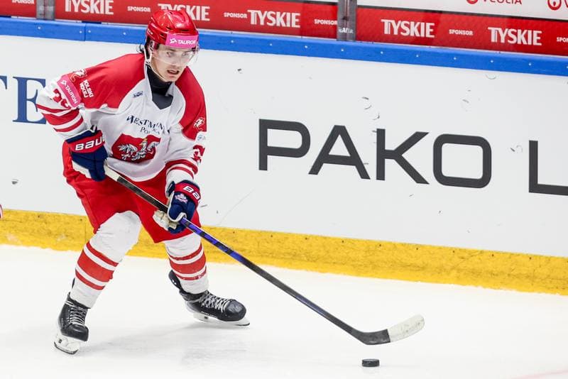 Ice Hockey. International Friendly. Poland - Slovenia. 24.04.2026