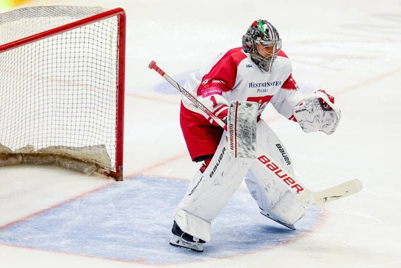 Ice Hockey. International Friendly. Poland - Slovenia. 25.04.2026