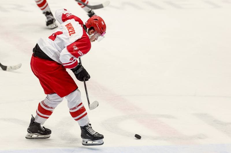 Ice Hockey. International Friendly. Poland - Slovenia. 25.04.2026