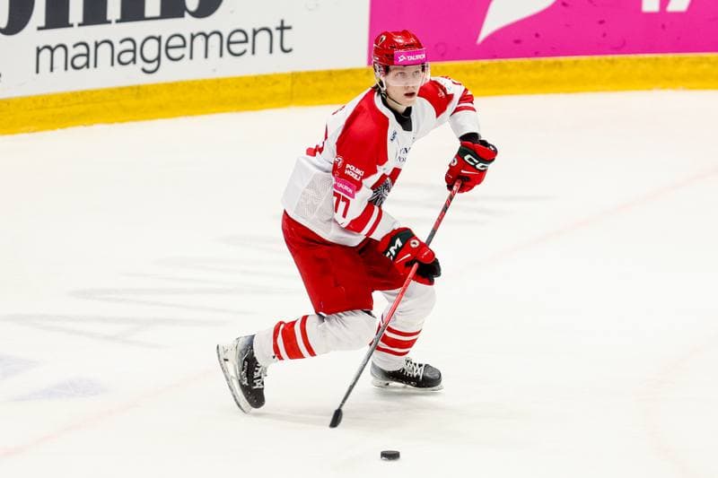 Ice Hockey. International Friendly. Poland - Slovenia. 25.04.2026