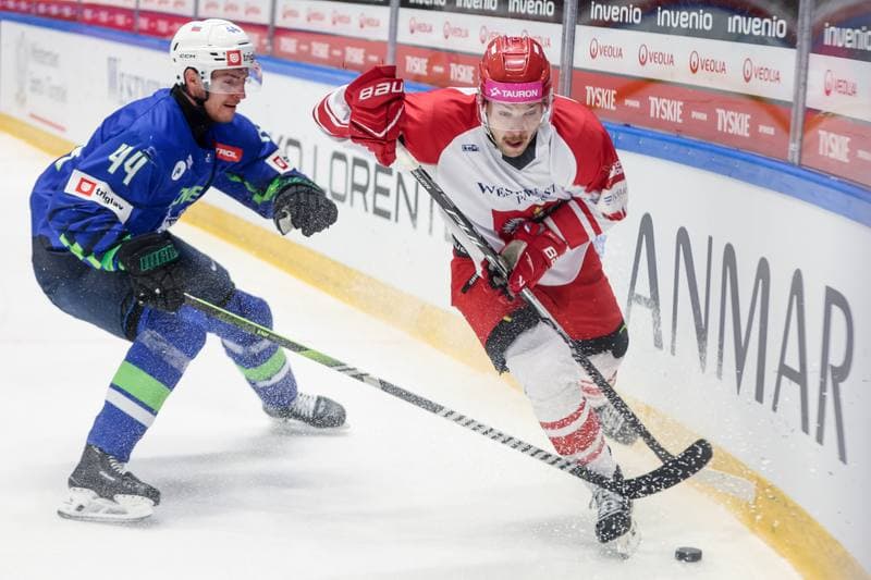 Ice Hockey. International Friendly. Poland - Slovenia. 25.04.2026