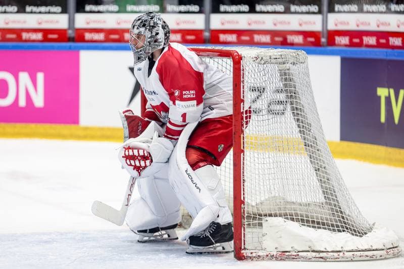 Ice Hockey. International Friendly. Poland - Slovenia. 25.04.2026
