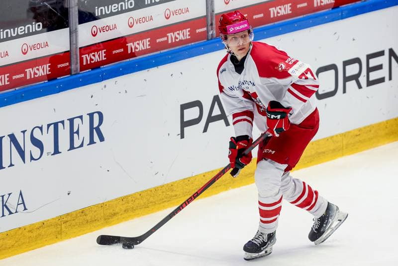 Ice Hockey. International Friendly. Poland - Slovenia. 25.04.2026