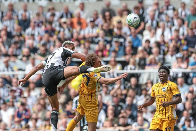 Football. Premier League. Newcastle United - Brighton & Hove Albion. 02.05.2026